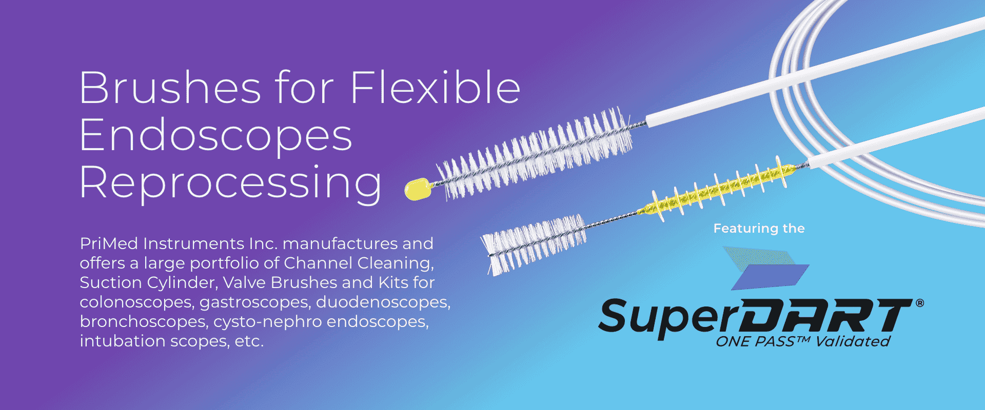 Brushes for Flexible Endoscopes Reprocessing